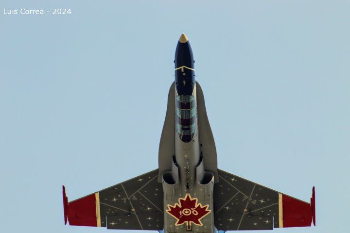 v837avvsmmn3.jpg